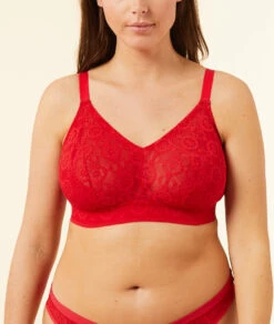 Bügelloser Triangel BH für Große Cups D-G - Granatrot 11 Bügelloser Triangel BH für Große Cups D-G - Granatrot -Etam Verkäufe 653086675 c