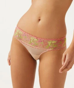 Bestickter Tüll Hipster Slip - Elegante Damen Unterwäsche Mehrfarbig