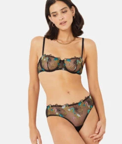 Elegant Black Embroidered Tulle Hipster Panties